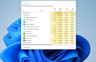 Windows 11 task manager panel